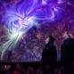 HIVE - Planetarium Shows — Coast To Canyon event image