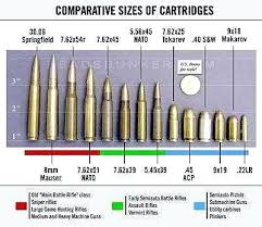 20 Disclosed Ammunition Caliber Chart