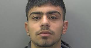 Rapist Nikolas Miles jailed for 'appalling' assault