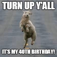 At forty years old, there's so much you have done. 101 Funny 40th Birthday Memes To Take The Dread Out Of Turning 40