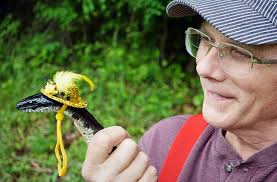 What are you ordering