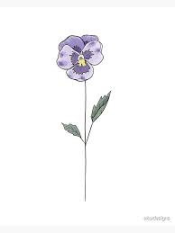 February Birth Month Flower Violet Color Art Print By Ekwdesigns Redbubble In 2021 Violet Tattoo Birth Flower Tattoos Birth Month Flowers