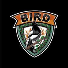  Bird Logo Bird Logos Bird Vector Logo