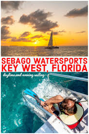 Image result for Selago barabei