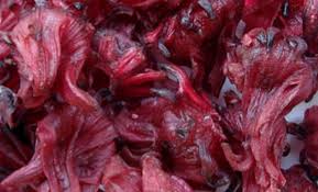 Depending on location, the plant may be an annual or perennial. How To Invest In Hibiscus Export Business And Where To Sell Internationally Cokodeal Blog