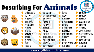 Adjectives words to describe animals. Adjectives For Describing Animals In English Archives English Study Here