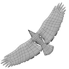 Low Poly Eagle Poly Eagle Blender Character Modeling Low Poly Character Modeling