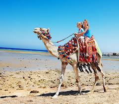 Egypt dovolená all inclusive 2021. Egypt Dovolena 2021 Ck Fischer