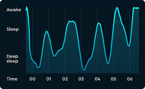 How Sleep Cycle Works Sleep Cycle Alarm Clock