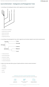 Cladogram Practice Worksheet Answers Promotiontablecovers