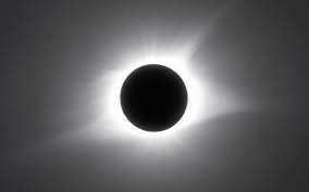 Descărcați imagini uimitoare gratuite despre eclipsa de soare. Eclipsele De Soare Si De LunÄƒ Ce Se IntamplÄƒ Cu PÄƒsÄƒrile Atunci Cand Astrii Ceresti Ai Terrei Se Ascund