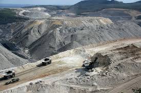 Callide can tolerate periodic flooding but does not tolerate long periods of standing water. Callide Coal Sale Deal Confirmed Industry Queensland