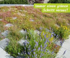 Последние твиты от gartentipps (@gartentipps). O7q1xfxrlr1uhm