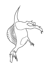 This dinosaurs coloring pages are fun way to teach your kids about dinosaurs. Spinosaurus Coloring Page 1001coloring Com