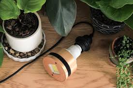 We've rounded up 22 of the best vegetables (and herbs) for you to grow long before spring rolls back around. How To Use Grow Lights For Indoor Plants Dossier Blog