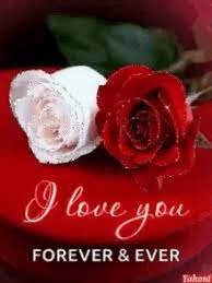 Check spelling or type a new query. Roses Gifs Tenor