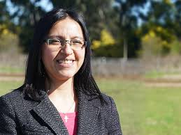 Nuestro Equipo — Lircay