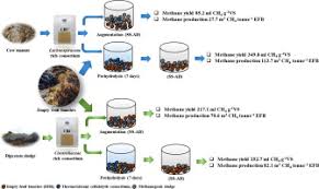 Oil palm empty fru it bunches (opefb) can be. Thermotolerant Cellulolytic Em Clostridiaceae Em And Em Lachnospiraceae Em Rich Consortium Enhanced Biogas Production From Oil Palm Empty Fruit Bunches By Solid State Anaerobic Digestion Researcher An App For Academics