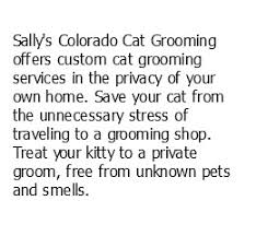 Get cat grooming services at lovely cuts with experienced, professional groomers. Colorado Cat Grooming Mobile Cat Grooming Services In The Comfort Of Your Home