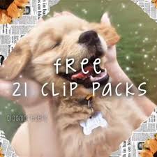 Elena Is My Rat 7 3k On Instagram Your Phone Percentage Is The Chance You Ll Get A Puppy 13 Please Give Cre In 2020 Getting A Puppy Puppies Instagram