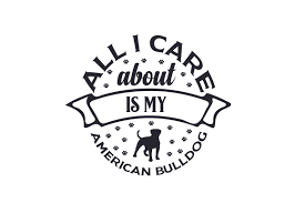 Download All I Care About Is My American Bulldog Svg Cut File By Creative Fabrica Crafts Creative Fabrica PSD Mockup Templates