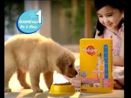 Pedigree Puppy Food Animals Puppies Pedigree