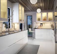 Ringhult Jutis Kitchen Remodel Ikea Catalog New Kitchen