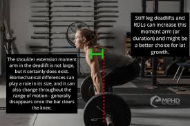 We did not find results for: Deadlifts On Back Day The Muscle Phd
