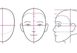 Illustration about part of human face, parts of the neck including forehead, temple, cheek, eyebrow, eye, nose, mouth, chin. Human Anatomy Fundamentals Basics Of The Face