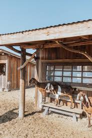 A Place At The Table Places Marketing Pergola