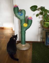 About 20eur and some hours off from sunday and she got new cat. Cactus Cat Scratching Post 5 Facts About Saguaro Cacti Www Fairytaleslavery Com Handmade Diy P Cat Scratching Post Cat Accessories Diy Rope Crafts