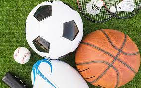 Act to democratize sport: impacts on professional sport