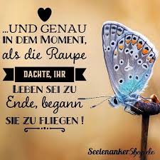 Poesie Spruche Zitate On Instagram Seelenankerofficial Seelenanker Seele Anker Spruch Statement Liebe Freundschaft Freunde Hoffnung Vertrauen Kraft Shayri Page