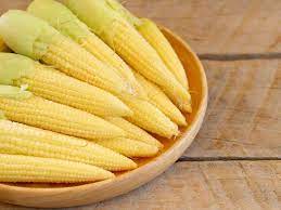 What S The Difference Between Corn And Baby Corn The Times Of India