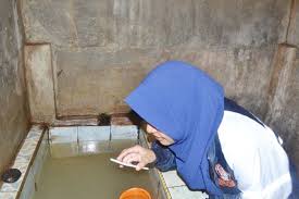 Nama jentik berasal dari gerakannya ketika bergerak di air. Cegah Db Tim Kkn Undip Desa Gemiring Lor Berantas Jentik Nyamuk Kampusundip Com