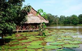 6 Rincones Turisticos Del Amazonas Digo Amazonas Colombia Paisajes De Colombia Amazonas