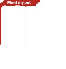 Image result for tbn:PynVVpwlqUveEM::www.imagefreehost.com/files/05012008/qc1400819220.gif