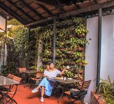 Amazing Restaurants And Cafes Near Dabolim Airport Goa The Spicy Journey In 2020 Goa Travel Cool Places To Visit Ireland Vacation