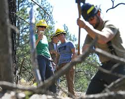 Tactical Athletes Forest Service Adds Pt To Logging Training Local News Missoulian Com