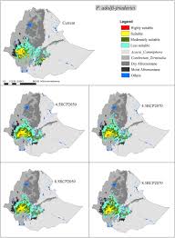Image result for Pouteria adolfi-friederici