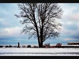 Pink Floyd The Great Gig In The Sky Clare Torry Live Playground Love Air Lyrics Playground Lyrics Air