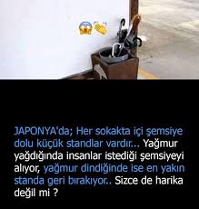 Tarana Salim Adli Kullanicinin Gercekler Panosundaki Pin Bilgi Alintilari Gercekler Bilgi Karti