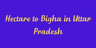 Hectare To Bigha In Uttar Pradesh Simple Converter