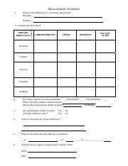 Macromolecule_worksheet Macromolecule Worksheet 1 What Are