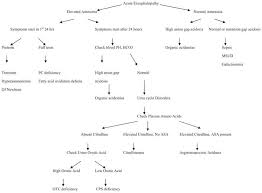 Acute Encephalopathy Icd-10-Cm Codes | 2023