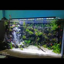Oct 16, 2017 · kajang leko adalah sebuah rumah panggung yang menggunakan konsep dari arsitektur marga batin. Jual Jasa Bikin Paket Aquarium Aquascape 60 X 30 Cm Terima Custom Order Desain Model Ukuran Dll Di Lapak Rizal Bukalapak