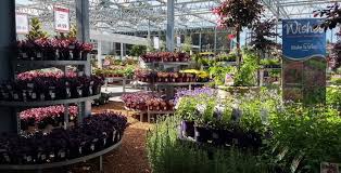 View listing photos, review sales history, and use our detailed real estate filters to find the perfect place. Flower Power Milperra Nsw Mbc Group