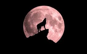 EclipsÄƒ TotalÄƒ De LunÄƒ 20 21 Ianuarie Luna Lupului Devine O Super LunÄƒ InsangeratÄƒ