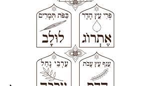 You can use our amazing online tool to color and edit the following sukkot coloring pages printable. Arba At Haminim Of Sukkot Four Species Sukkah Decoration Jewish Holiday Decorations Coloring Page Decorating Ideas Crafts Instant Download Haleluya Sacred Soul Art Zebratoys Downloads