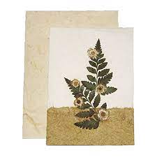 See more ideas about cards, cards handmade, inspirational cards. Handmade Pressed Flower Greeting Card Designs Make Great Birthday Anniversary And Wedding Gift Card Ideas Assorted Pack Of 3 Cards Buy Online In United Arab Emirates At Desertcart 49834416